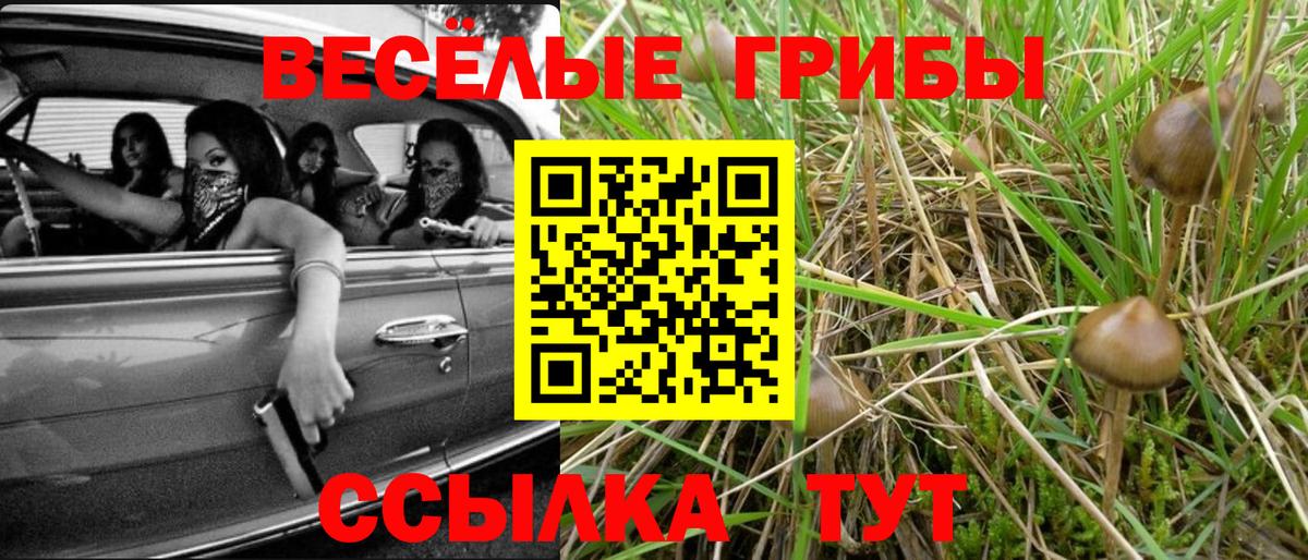 Псилоцибиновые грибы мухоморы Усть-Кут